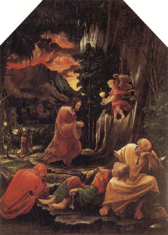 Albrecht Altdorfer The Agony in the Garden France oil painting art
